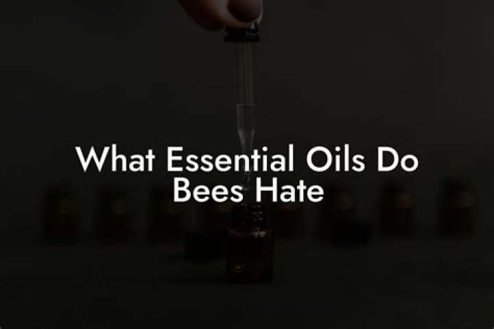 What essential oils do bees hate?