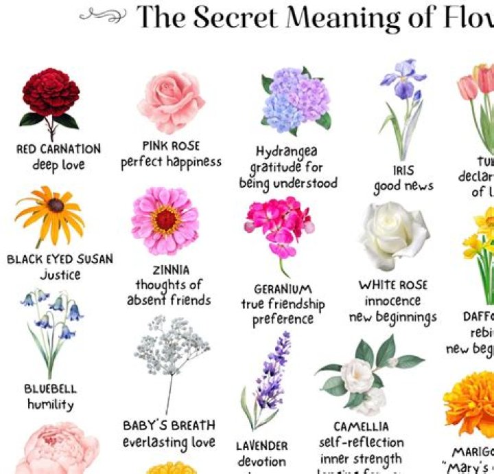 What flower symbolizes change?