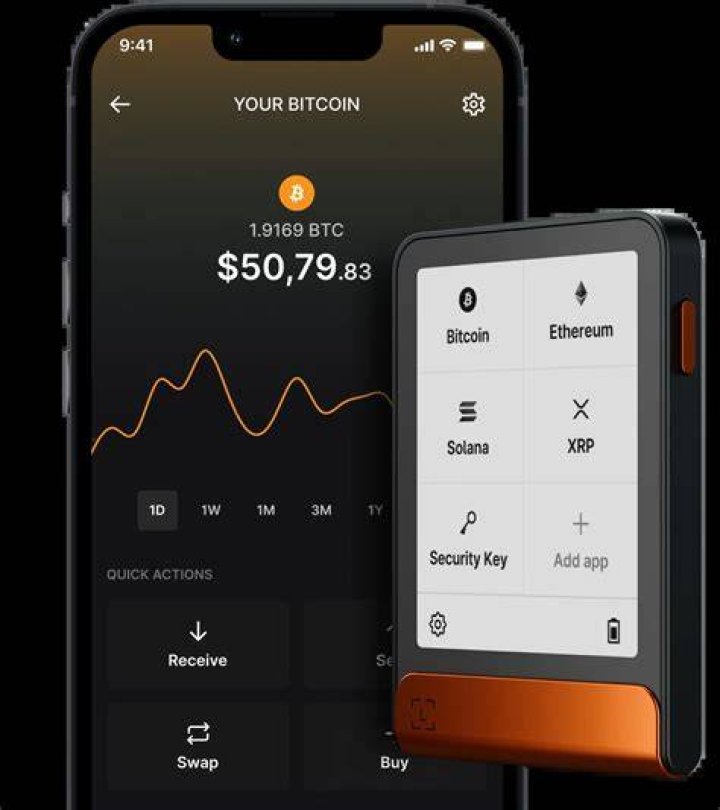 What happens if I lose my bitcoin wallet?