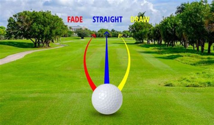 What is a bad golf shot called?