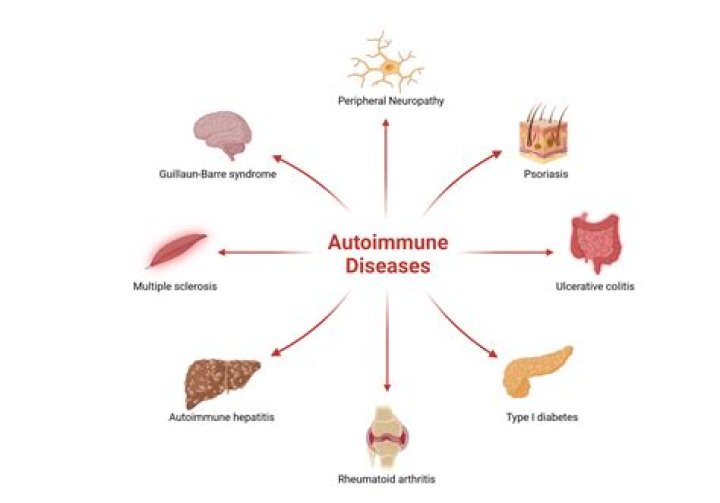 What is an autoimmune disorder List 5 examples?