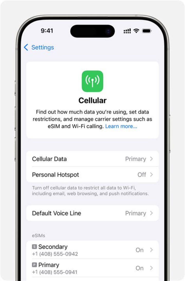 What is eSIM in iPhone?