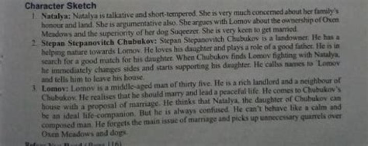 What is Natalya character sketch?