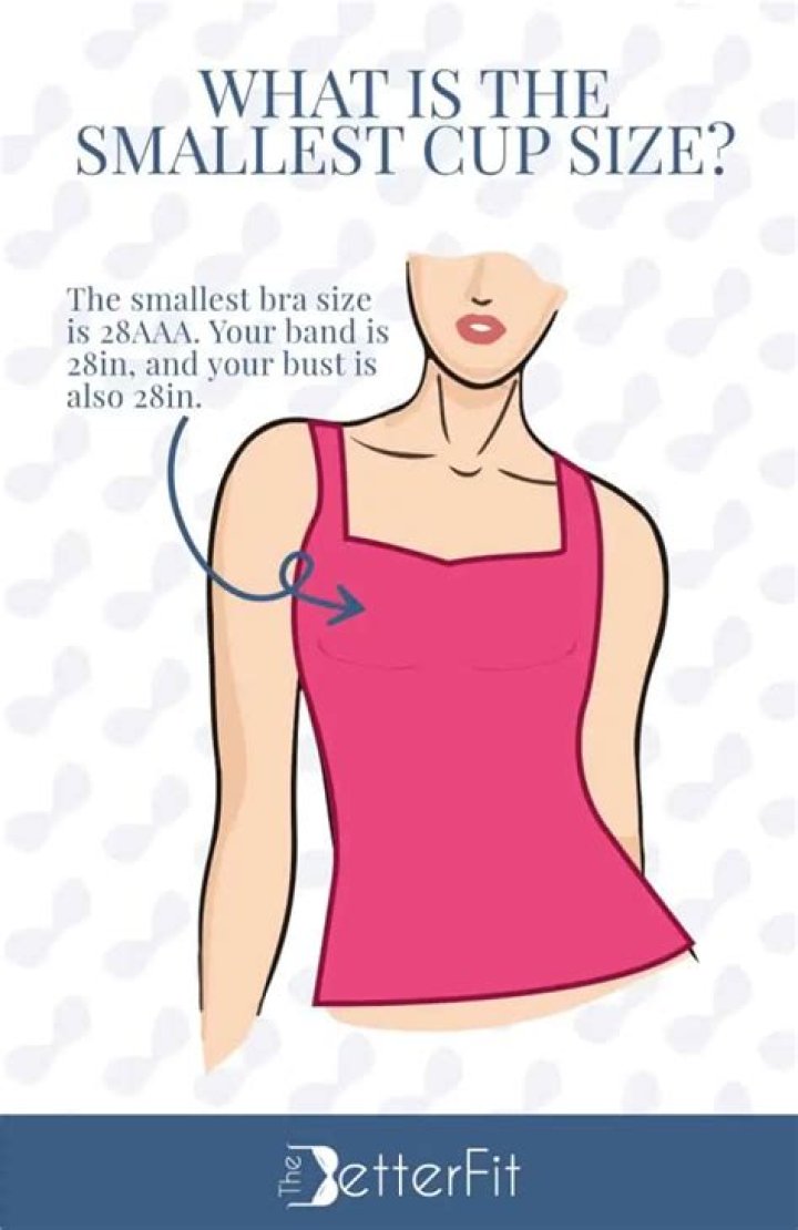 What is the smallest breast?