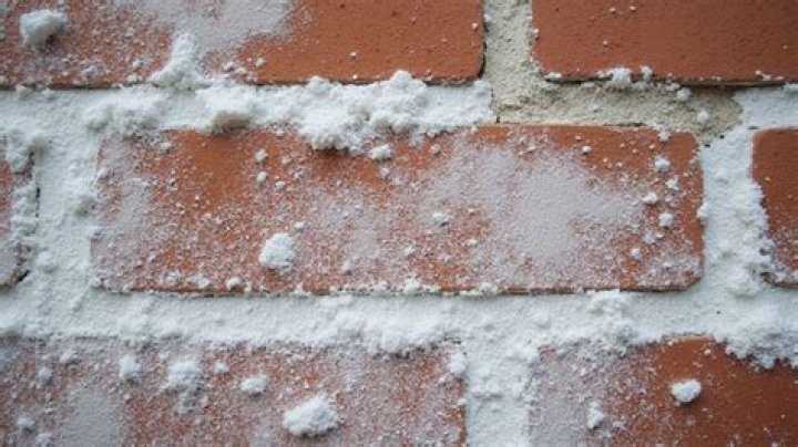 What is the white stuff on my house bricks?