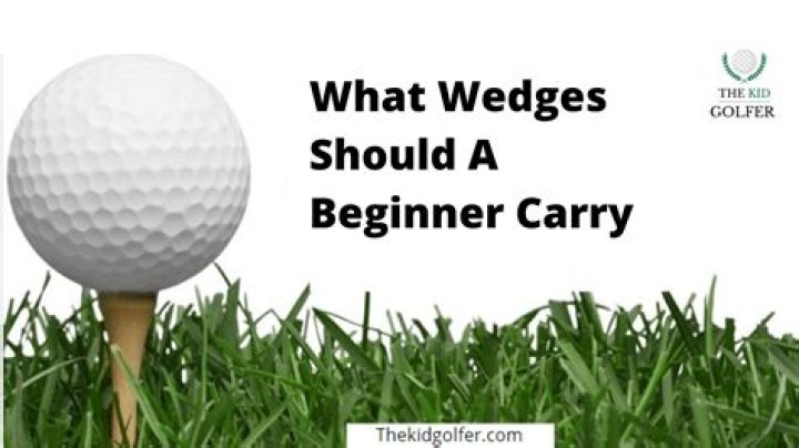 What woods should a beginner carry?