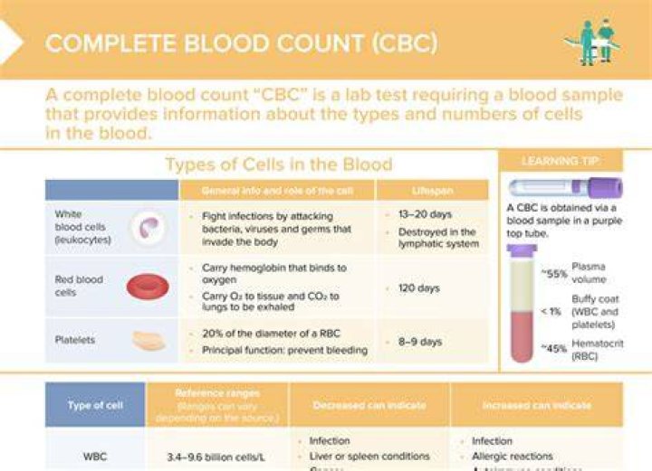 What would CBC look like with lymphoma?