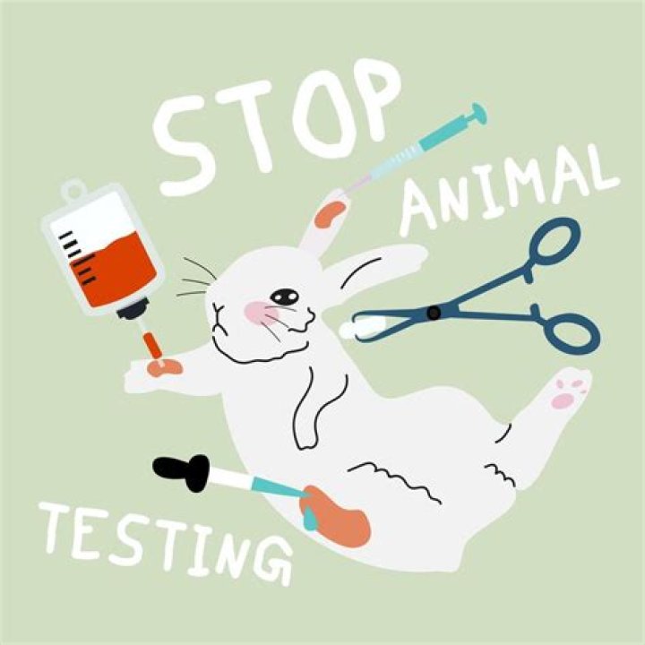 When did Mary Kay stop testing on animals?