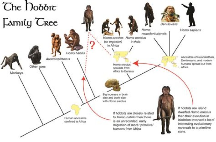 Where do most American ancestors come from?