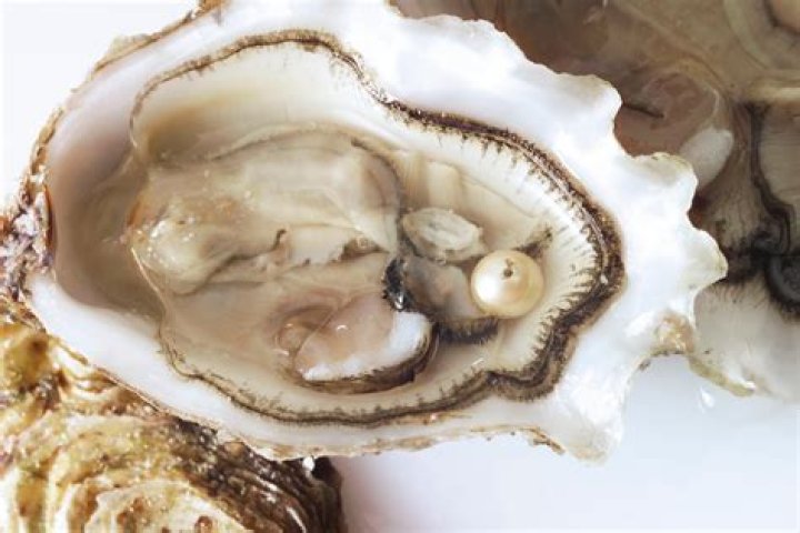 Where pearls are found in India?