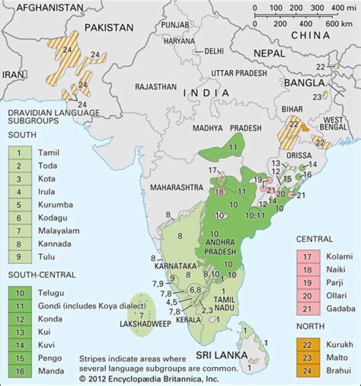 Which country has more Tamil population?