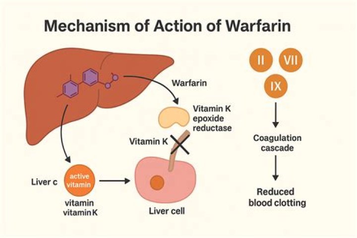 Which is stronger warfarin or Plavix?