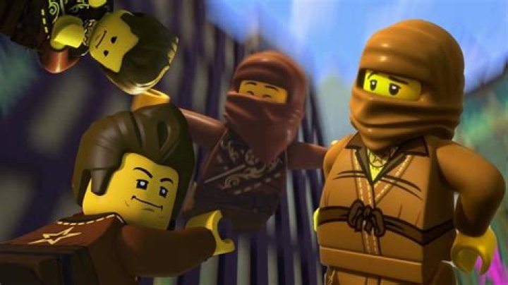 Who is the brown ninja?