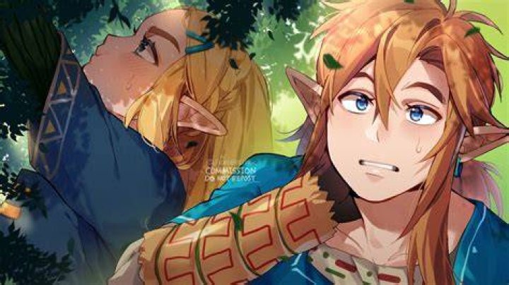 Who is the hero in BOTW 2?