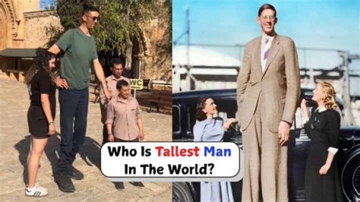 Who is the tallest Link?