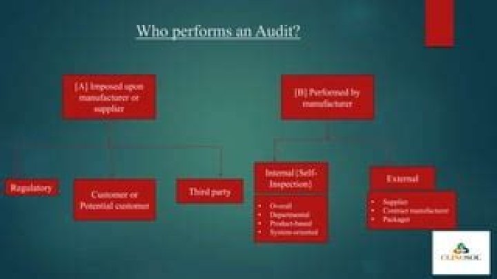 Who performs an internal audit?