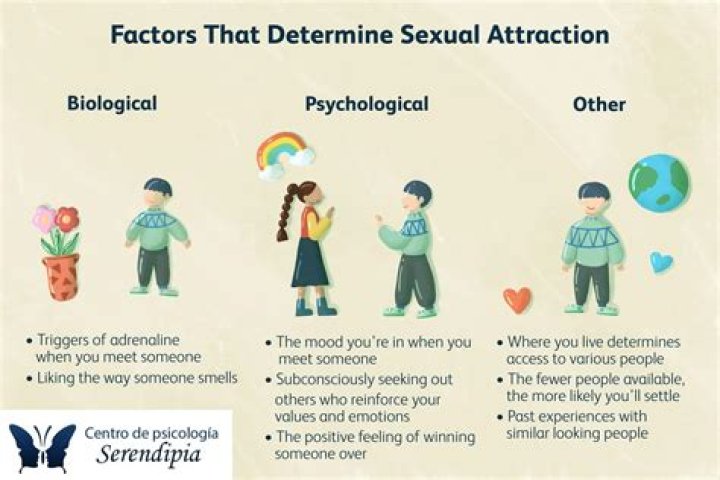 Why are humans attracted to fluffy things?