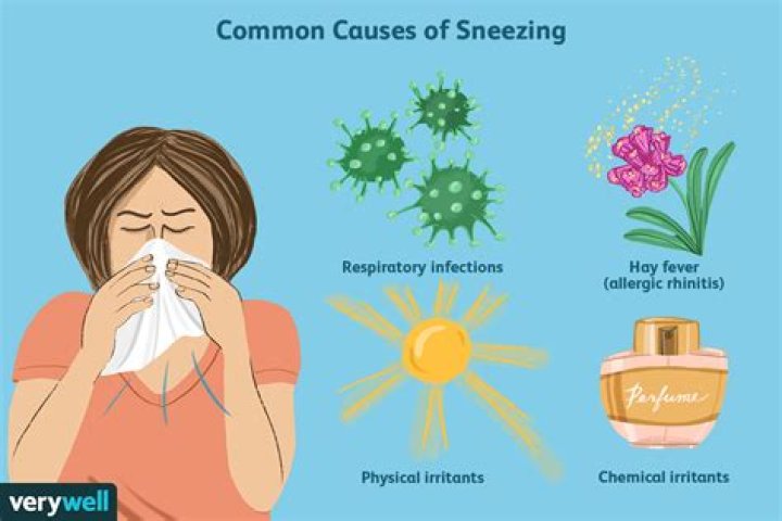 Why do I sneeze a lot?