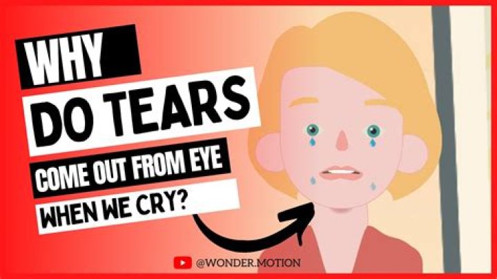 Why do we rub our eyes when we yawn?