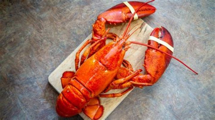 Why does lobster taste better cooked alive?