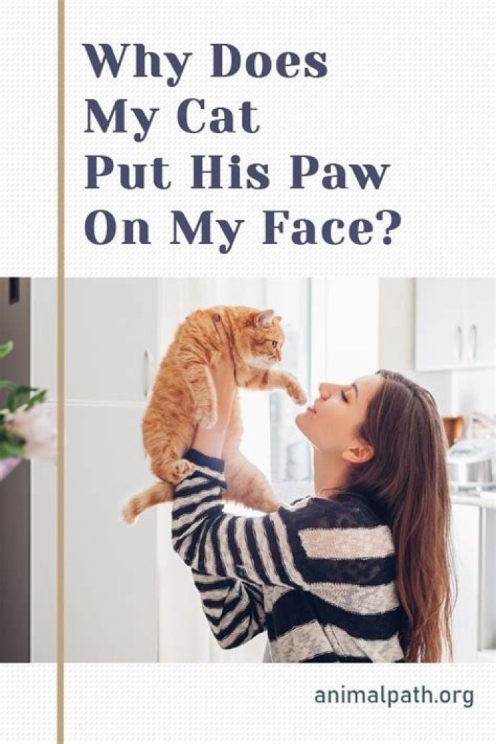 Why does my cat put his face so close to mine?
