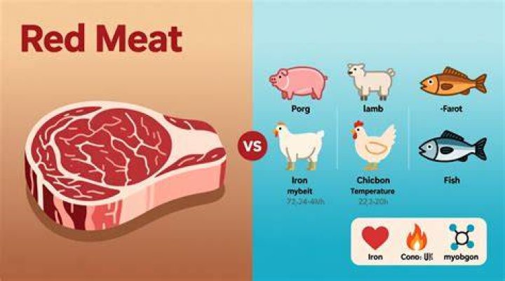 Why is meat red?