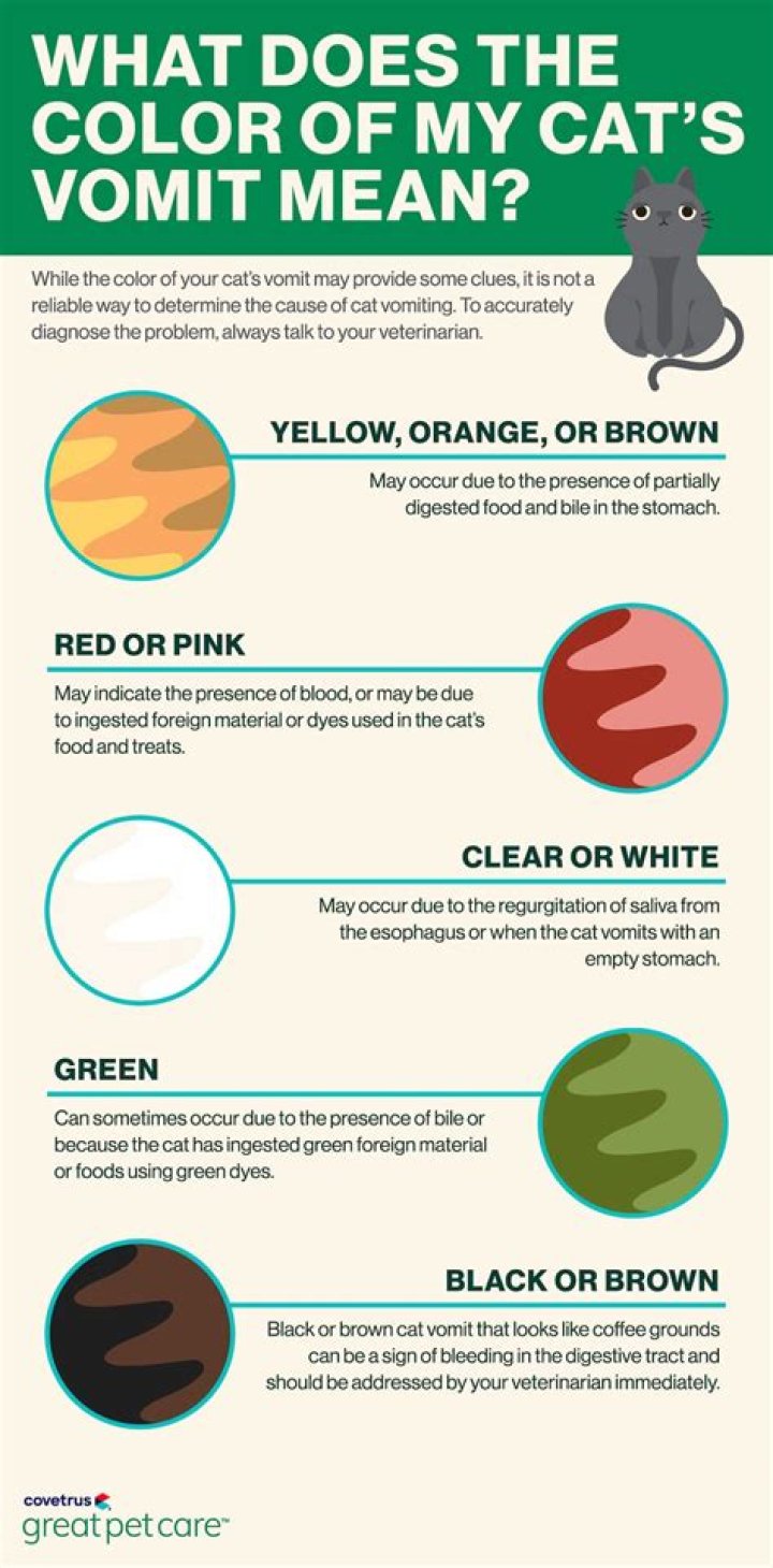 Why is my puke dark green?