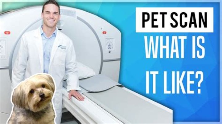 Why would a doctor order a PET scan?