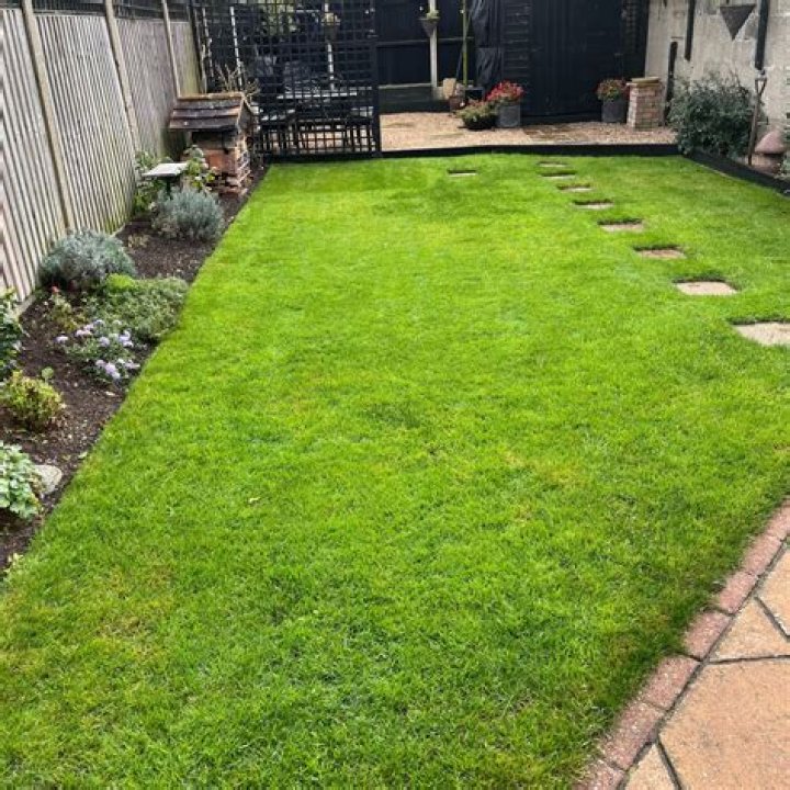 Why you shouldn't cut your grass?