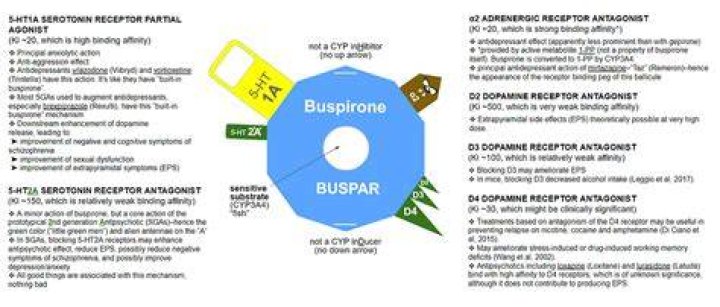 Will buspirone calm you down?